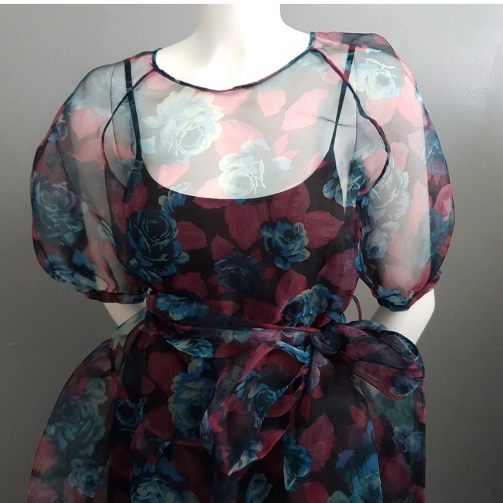 Zara Sheer puff sleeve dress.